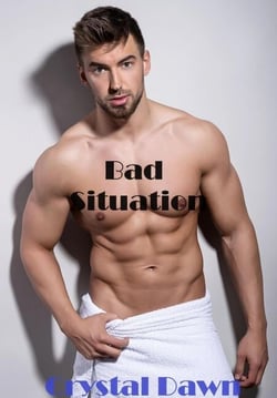Bad Situation - Wolf Investigations and Securities Inc., #6
