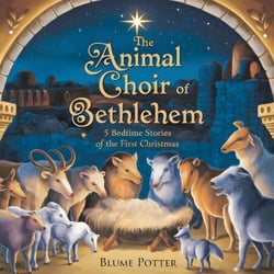 The Animal Choir of Bethlehem: 5 Bedtime Stories of the First Christmas - Bible Animal Bedtime Stories For Kids, #8