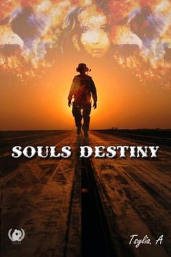 Souls Destiny - Opposés et Attirés : Une Romance Intense entre Ambition et Militaire