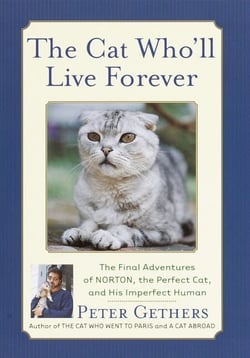 The Cat Who'll Live Forever - The Final Adventures of Norton, the Perfect Cat, and His Imperfect Human