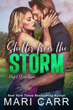 Shelter from the Storm - Perfect Storm, #2