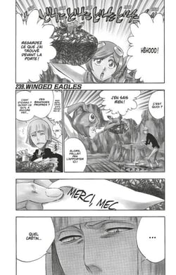 Bleach - T27 - Chapitre 239 - WINGED EAGLES