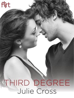 Third Degree - A Novel