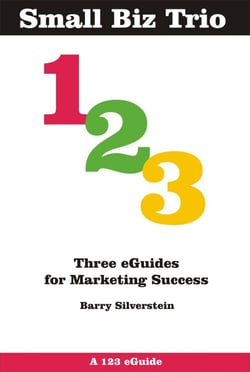 Small Biz Trio: Three eGuides for Marketing Success - 123 eGuides, #5