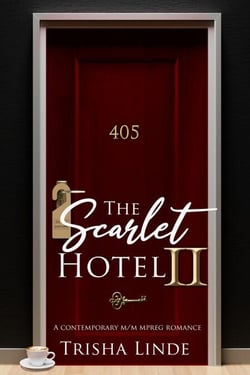 Room 405 - The Scarlet Hotel, #13