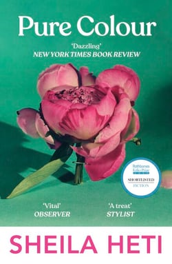 Pure Colour - The prize-winning novel from the author of Motherhood, a New York Times best book of the year