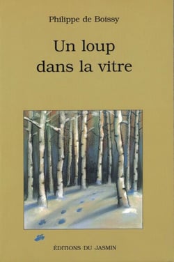 Un loup dans la vitre - Roman jeunesse