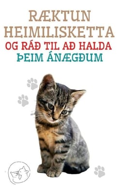 Ræktun Heimilisketta og ráð til að Halda þeim Ánægðum