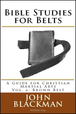 Bible Studies for Belts: A Guide for Christian Martial Arts Vol. 6: Brown Belt - Christian Martial Arts Ministry Bible Studies, #6
