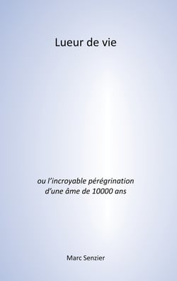 Lueur de vie - L'incroyable pérégrination d'une âme de 10000 ans