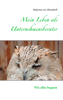 Mein Leben als  Unternehmensberater - Wie alles begann