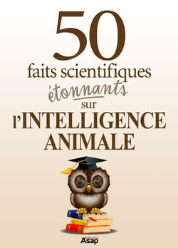 L'intelligence animale : 50 faits scientifiques étonnants