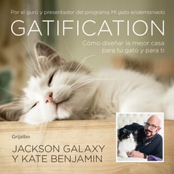 Gatification - Cómo diseñar la mejor casa para tu gato y para ti
