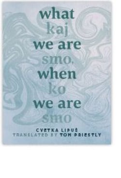 What We Are When We Are - Kaj smo, ko sm