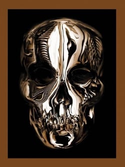 ALEXANDER MCQUEEN - SAVAGE BEAUTY