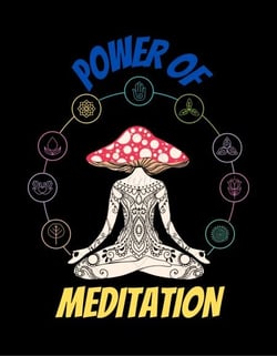 Power Of Mediation