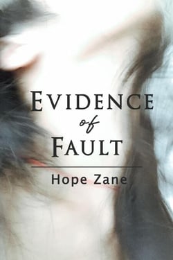 Evidence of Fault - Short Stories About Women