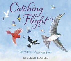 Catching Flight - Soaring on the Wings of Birds