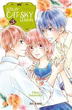 Stray cat and sky lemon T03