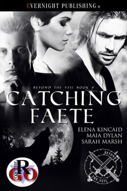 Catching Faete - Beyond the Veil, #4