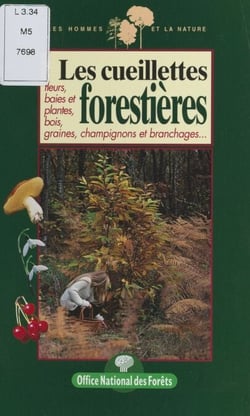 Les cueillettes forestières - Fleurs, baies et plantes, bois, graines, champignons et branchages...