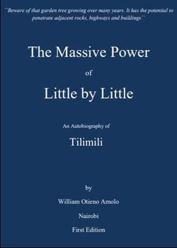 The Massive Power of Little by Little - biography, construction, wealth creation