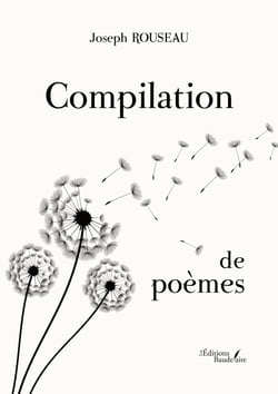 Compilation de poèmes - Ainsi, au fil des jours