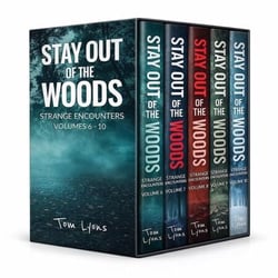 Stay Out of the Woods: Volumes 6-10 - Stay Out of the Woods Collector's Edition, #2