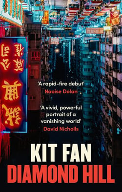 Diamond Hill - Totally unputdownable and evocative literary fiction