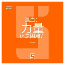 Le métissage : une force ou une difficulté ? (version chinois mandarin)