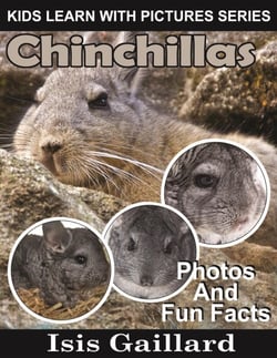 Chinchillas Photos and Fun Facts for Kids - Kids Learn With Pictures, #39