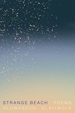Strange Beach - Poems
