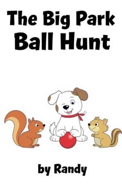 The Big Park Ball Hunt - Childrens Books, #999