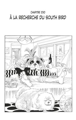 One Piece édition originale - Chapitre 230 - À la recherche du south bird