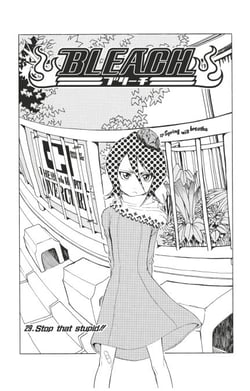 Bleach - T04 - Chapitre 29 - Stop that stupid!!
