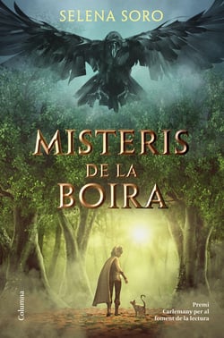 Misteris de la boira - IX Premi Carlemany per al Foment de la Lectura