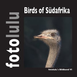 Birds of Südafrika - fotolulus Bildband VI