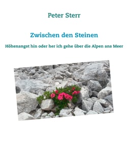 Zwischen den Steinen - Höhenangst hin oder her ich gehe über die Alpen ans Meer