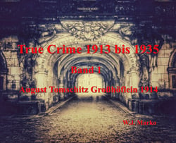 True Crime 1913 bis 1935 August Tomschitz Großhöflein 1914 - Band 1
