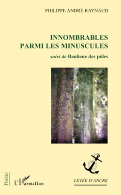 Innombrables parmi les minuscules - Suivi de Banlieue des pôles