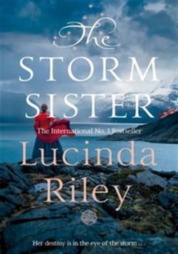 The Storm Sister : Ally's Story
