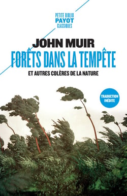 Forêts dans la tempête et autres colères de la nature
