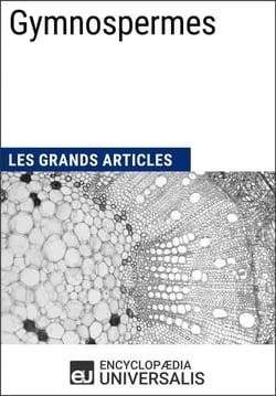 Gymnospermes - Les Grands Articles d'Universalis