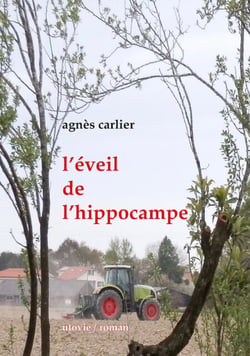 L’éveil de l’hippocampe - Roman