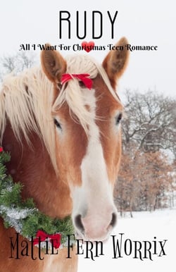 Rudy - All I Want For Christmas Teen Romance, #2
