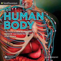 The Human Body