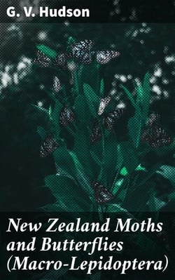 New Zealand Moths and Butterflies (Macro-Lepidoptera) - Exploring the Enchanting World of New Zealand's Lepidoptera