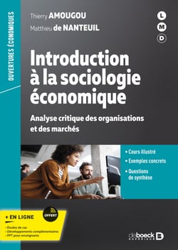 Introduction à la sociologie économique - Analyse critique des organisations et des marchés