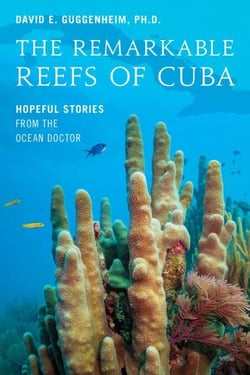 The Remarkable Reefs Of Cuba - Hopeful Stories From the Ocean Doctor