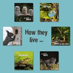 How they live - Learn All There Is to Know About Animals!